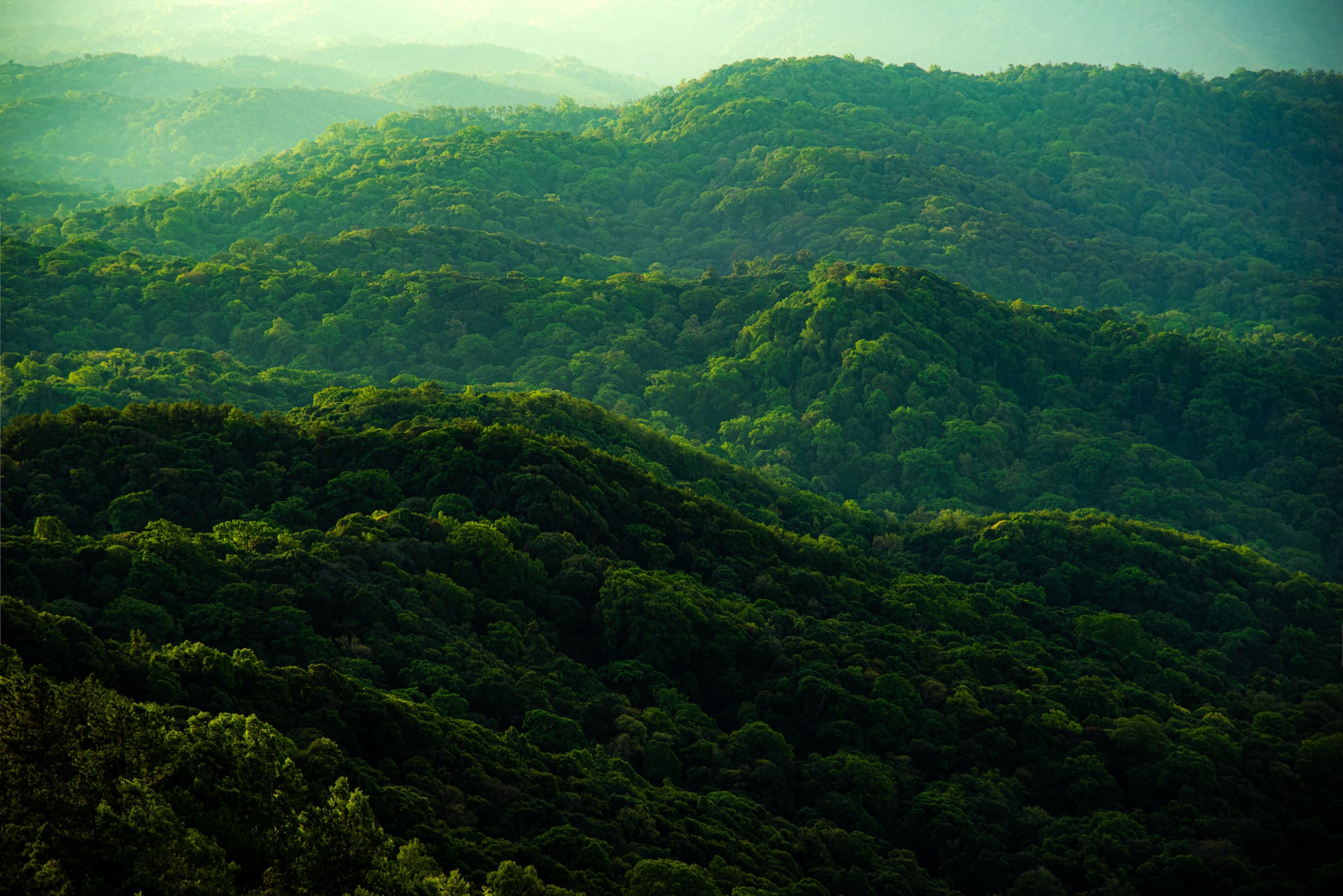 Cerros cubiertos de mata atlántica en el sur de Brasil